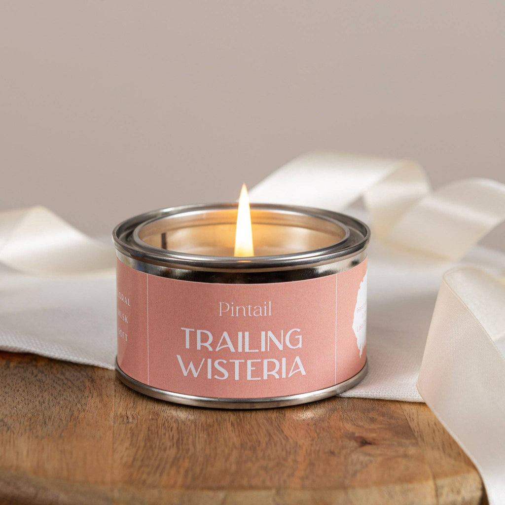 Small candle in paint pot / Trailing Wisteria