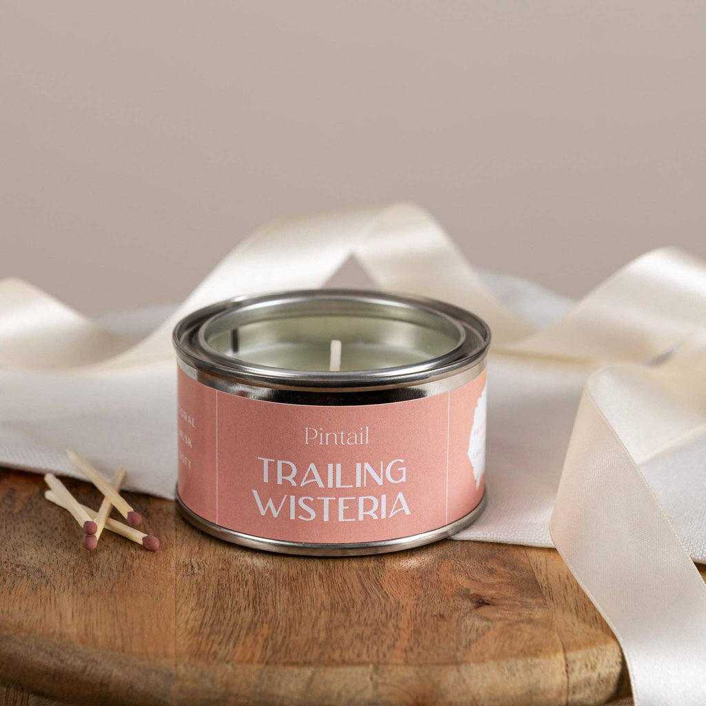 Small candle in paint pot / Trailing Wisteria